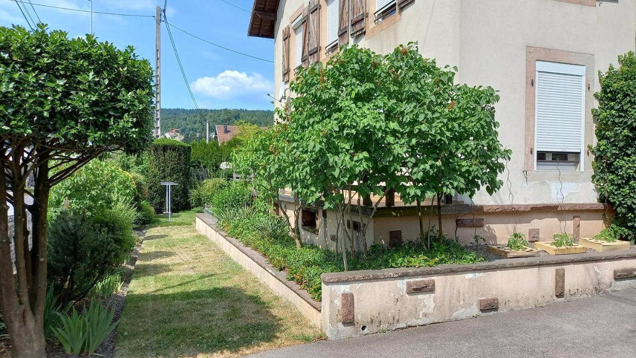 Studio D'Hotes A 10 Km De Gerardmer Le Tholy Exteriör bild